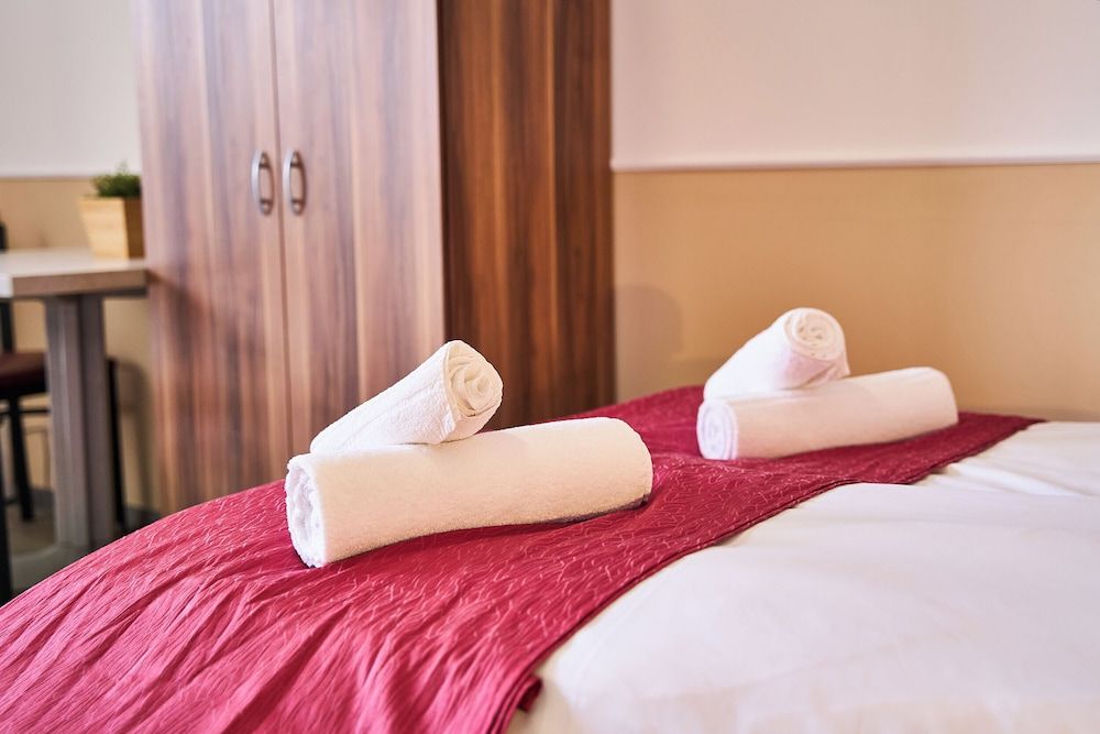 Hotel Maximo Comfort Double Room 13