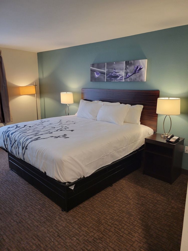 Standard Room, 1 King Bed, Non Smoking
