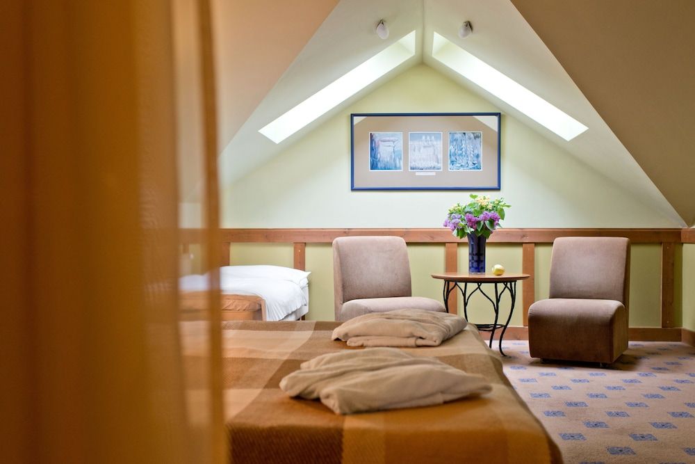 Best Baltic Hotel Druskininkai Central Standard Double or Twin Room 2