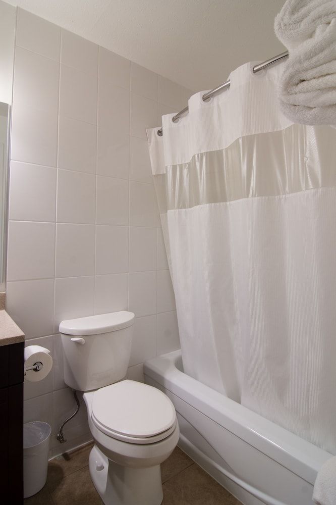 Northwood Plaza Hotel Suite, 1 Queen Bed 9