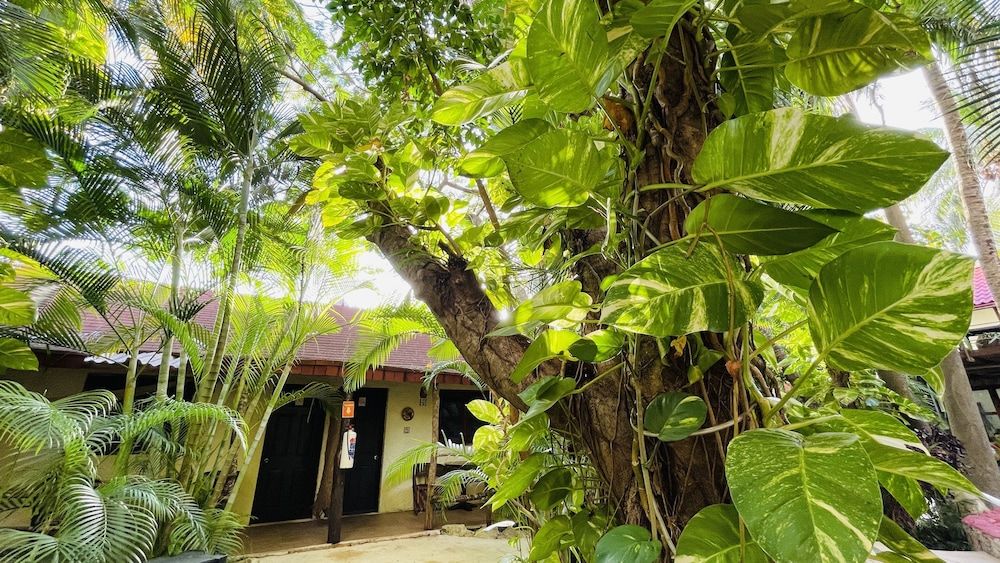 undefined Hotel B&B - 5th Avenue 7