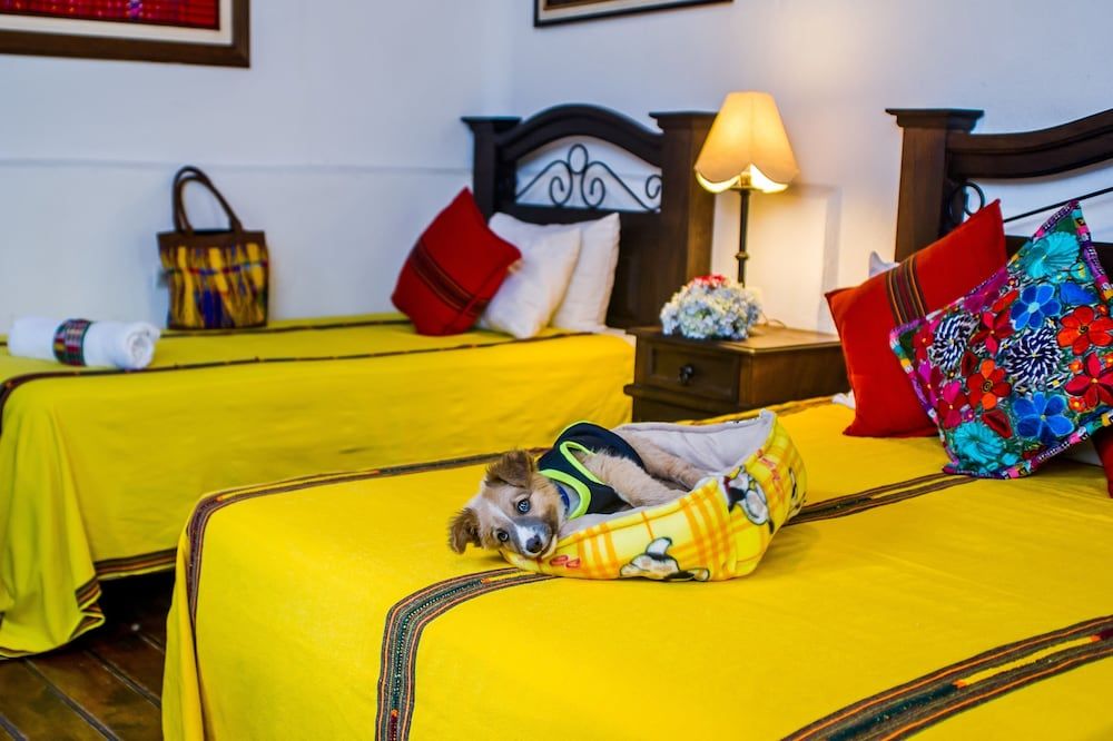 Posada Doña Luisa Standard Double Room