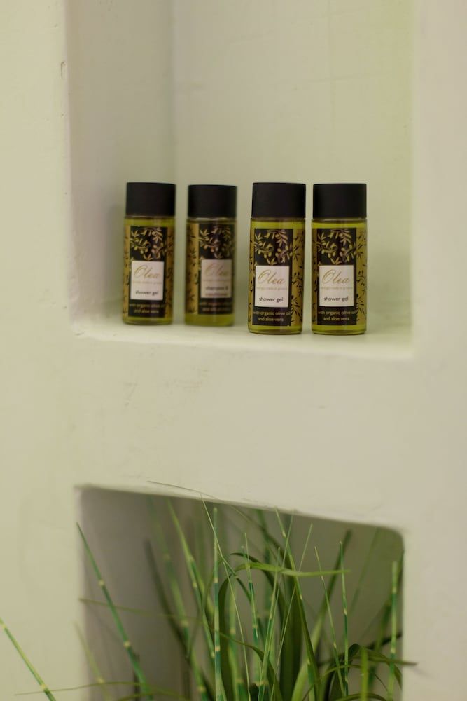 Artree Suites Deluxe King Suite 10