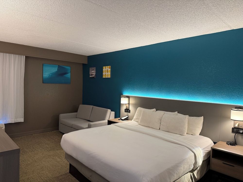 Comfort Inn Darien - North Brunswick Standard Room, 1 King Bed, Non Smoking