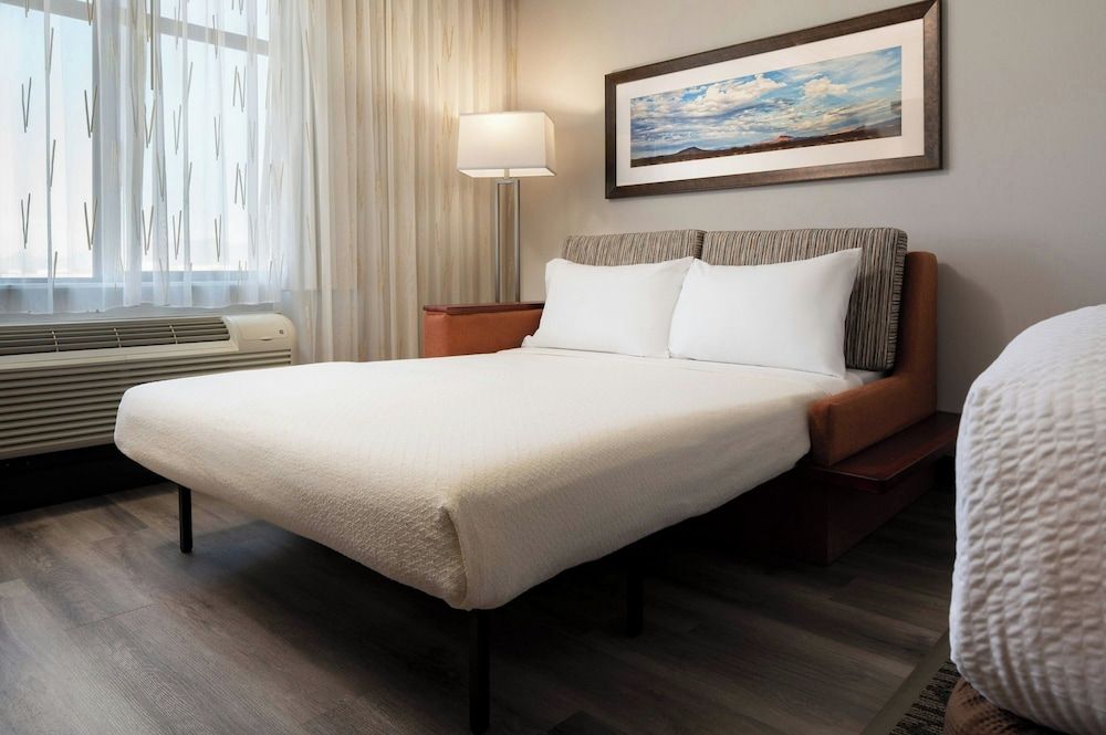 Room, 1 King Bed with Sofa bed