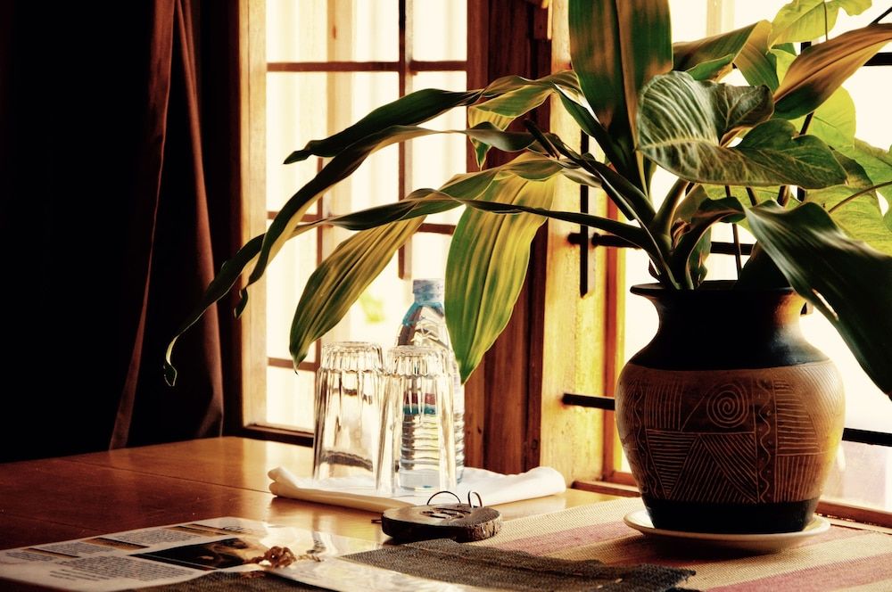 Gately Inn Entebbe Comfort Room 3