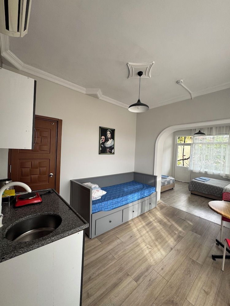 undefined Erkal Pansion 2