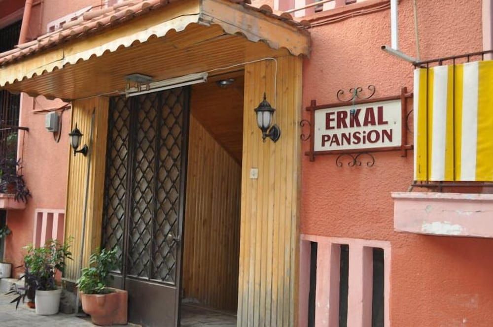 undefined Erkal Pansion 9