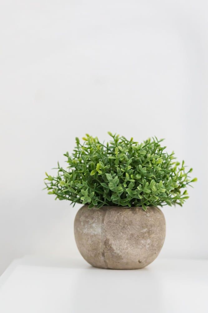 undefined A World Aparts - 32 Calabria 2