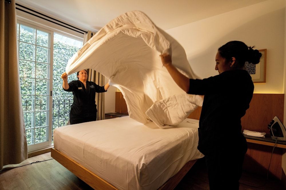 Reforma Guest House Suite Junior 3