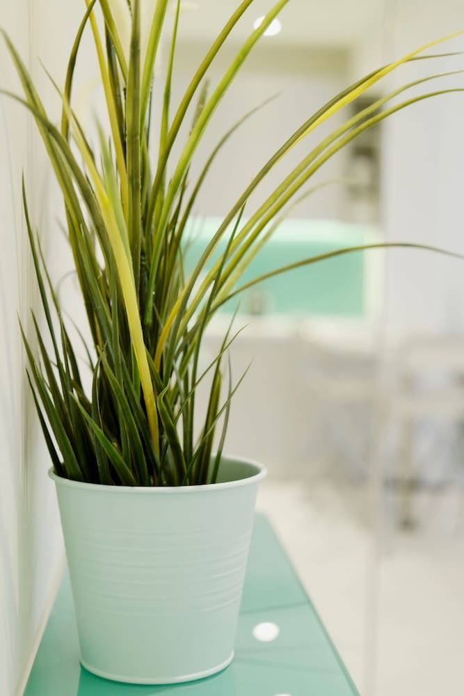 undefined Hilton Area - Renovated Apartment close to Metro 10