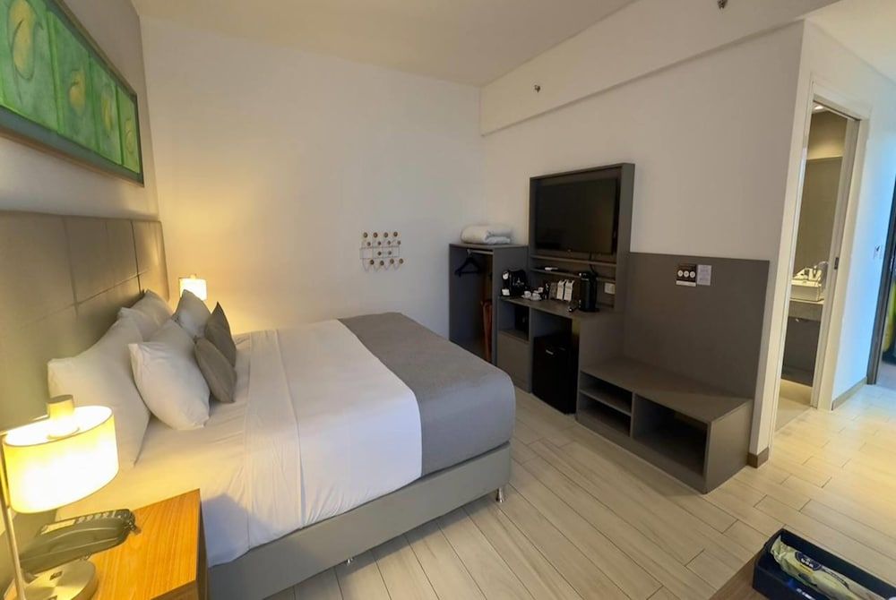 Room, 1 King Bed, Accessible, Non Smoking