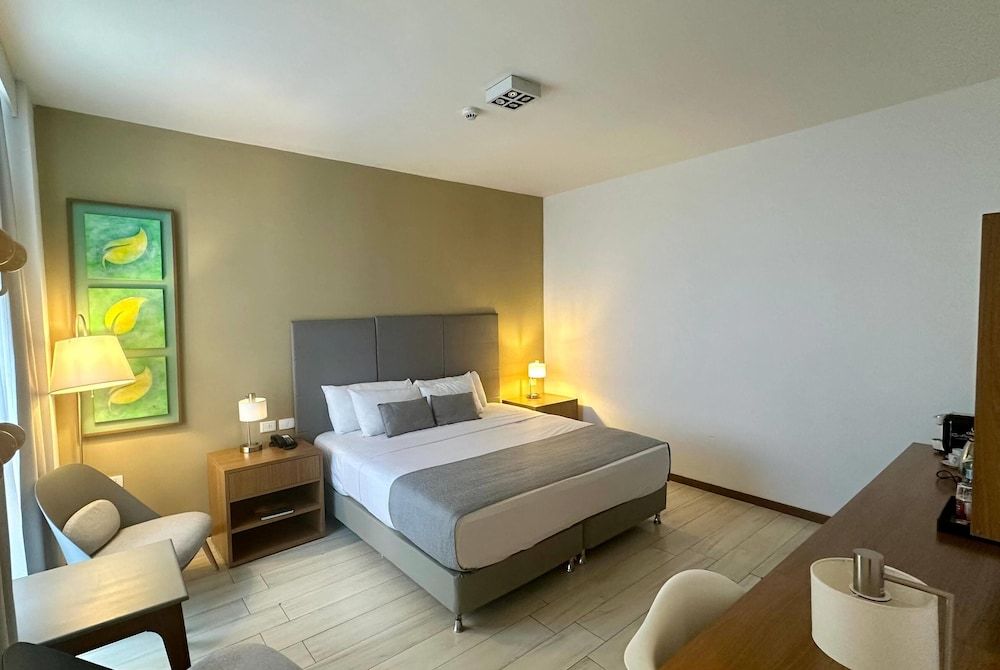 Superior Room, 1 King Bed, Non Smoking