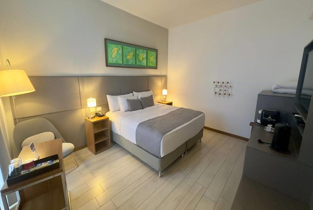 Room, 1 King Bed, Accessible, Non Smoking