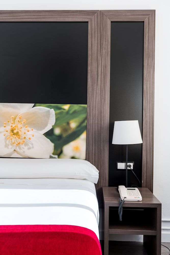 Hotel Sevilla Economy Double Room 2