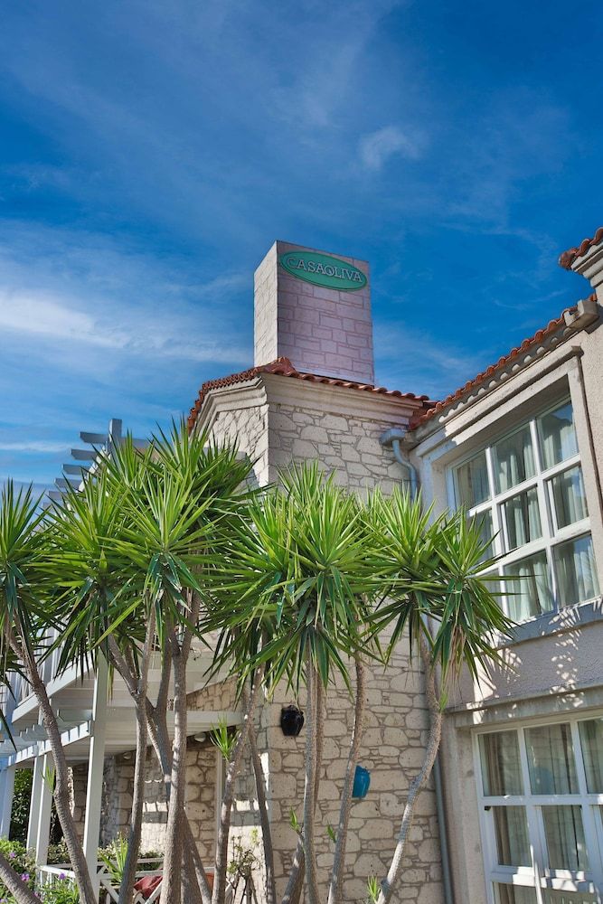 undefined Casa Oliva Alacati 6