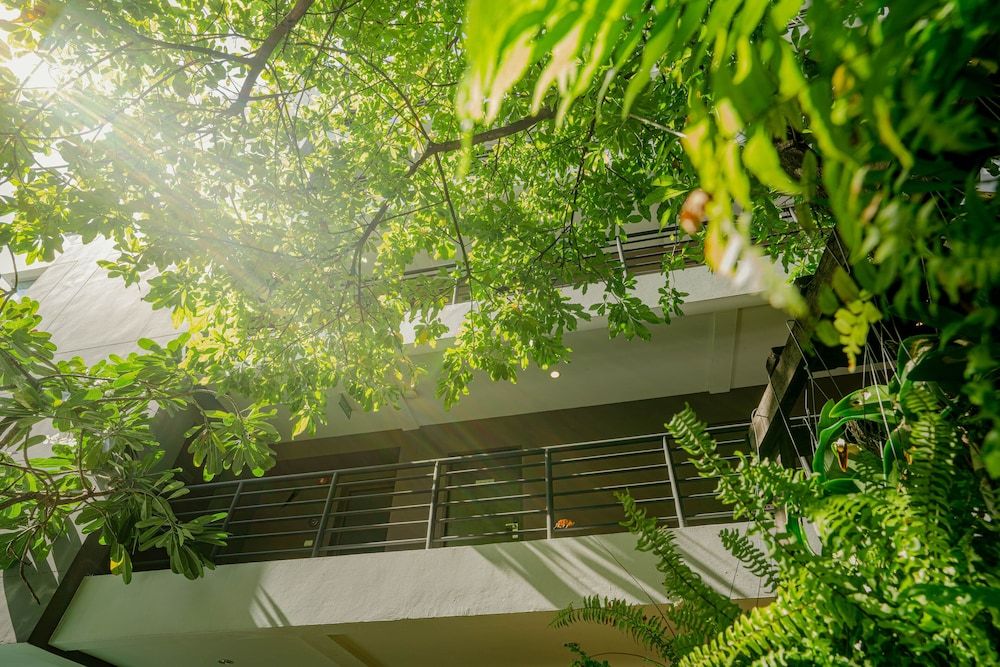 undefined Peace Land Khaosan 6