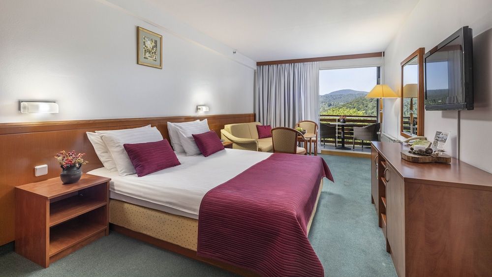 undefined Hotel Jezero 10