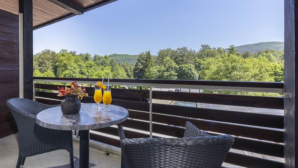 undefined Hotel Jezero 7