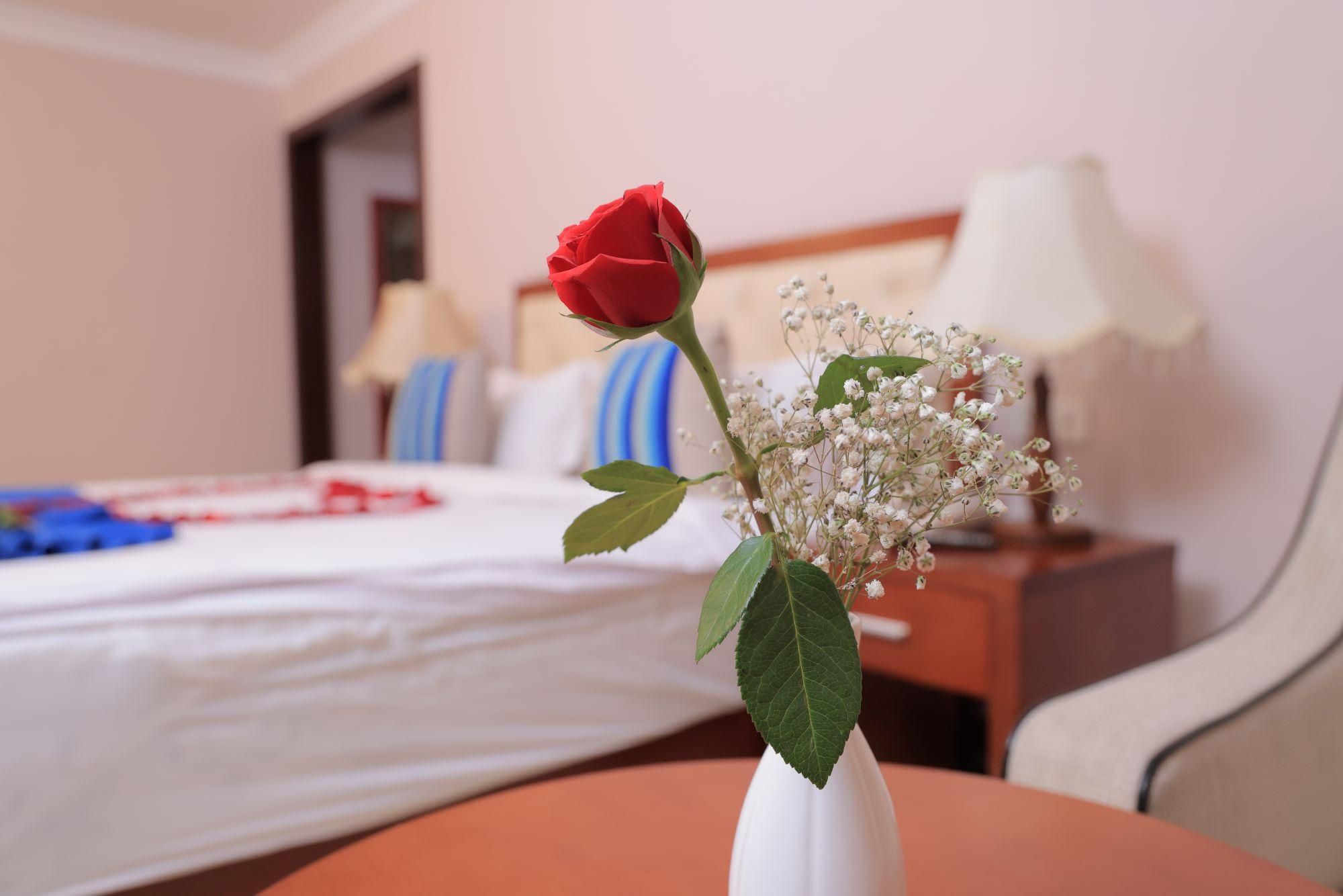 undefined Tolip Olympia Hotel 9