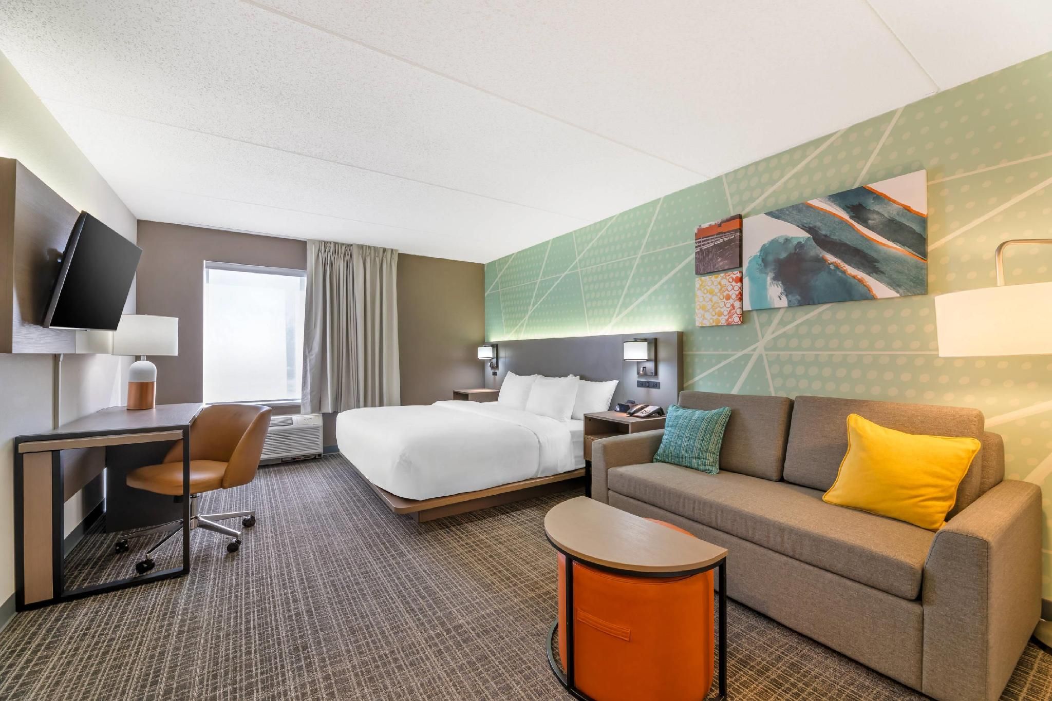 1 King Bed, Nonsmoking, Accessible