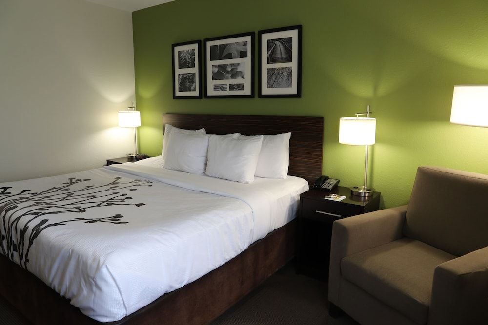 Room, 1 King Bed, Accessible, Non Smoking (Accessible Tub, Transfer Shower)