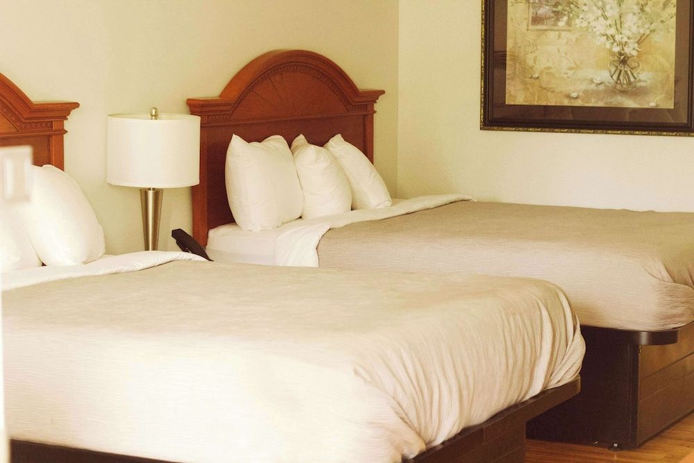 Quality Inn near Chattanooga South Standard Room, 1 King Bed, Non Smoking 2