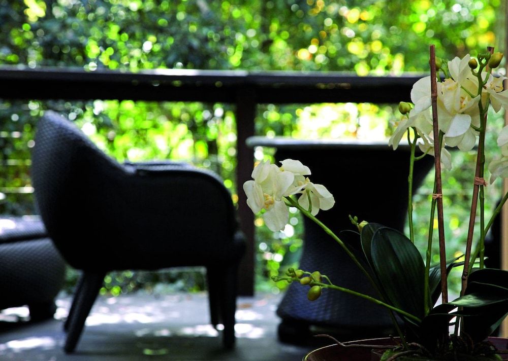 Songbirds Rainforest Retreat Luxury Suite, 1 Bedroom, Balcony (Rainforest Luxury Villa) 7