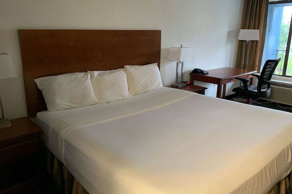 Room, 1 King Bed, Accessible, Non Smoking (Roll-In Shower)