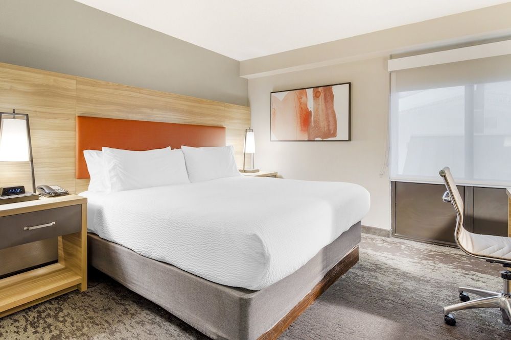 Studio Suite, 1 King Bed