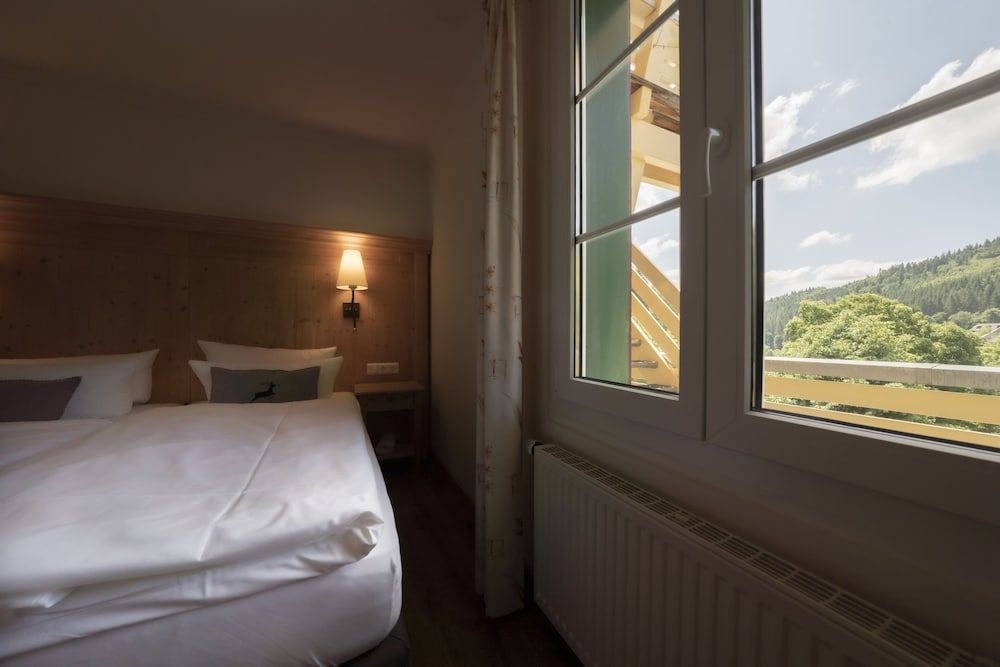 Naturparkhotel Grüner Baum Comfort Double Room 3