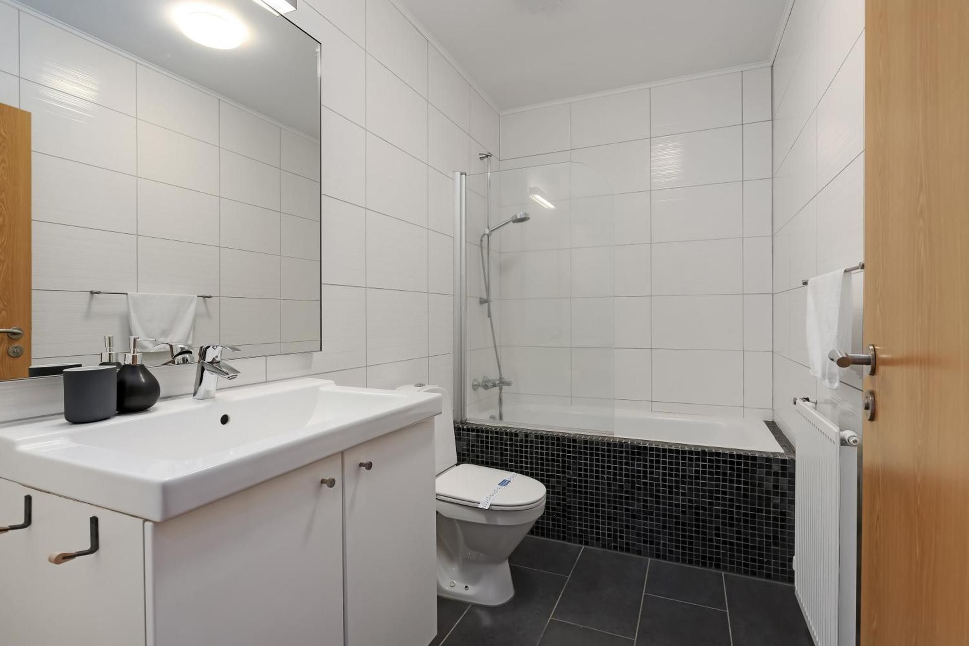 Reykjavik Central Apartments Deluxe One-Bedroom Apartment