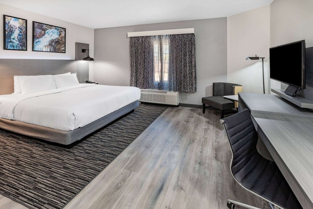 Room, 1 King Bed, Non Smoking
