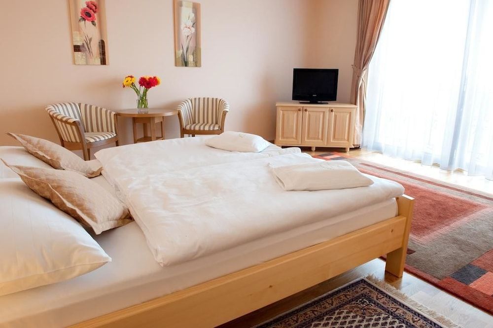 Hotel Karpatsky Dvor Business Double or Twin Room