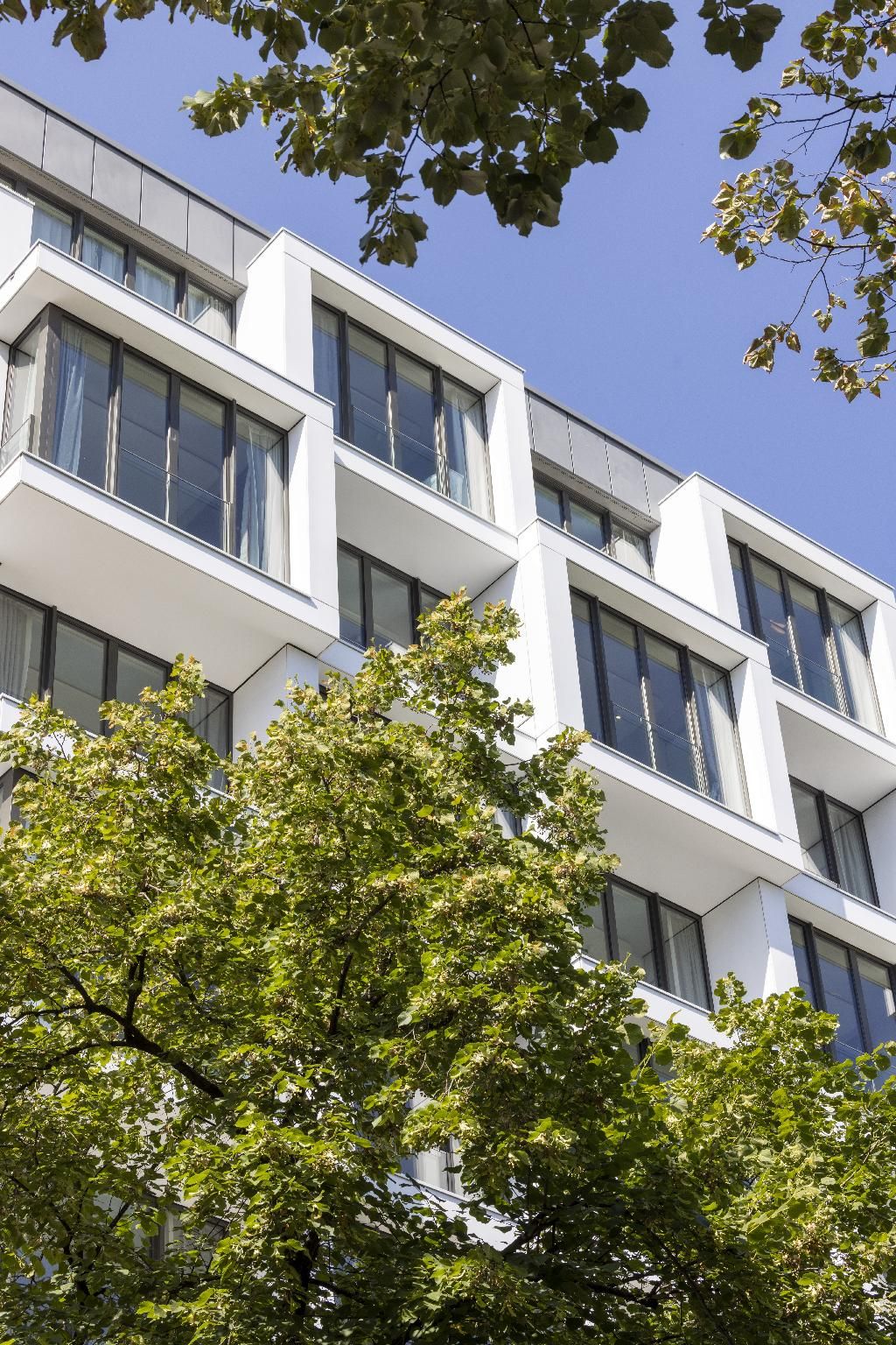 13a0d9c7baa6b371fdee9d670d8aaa64