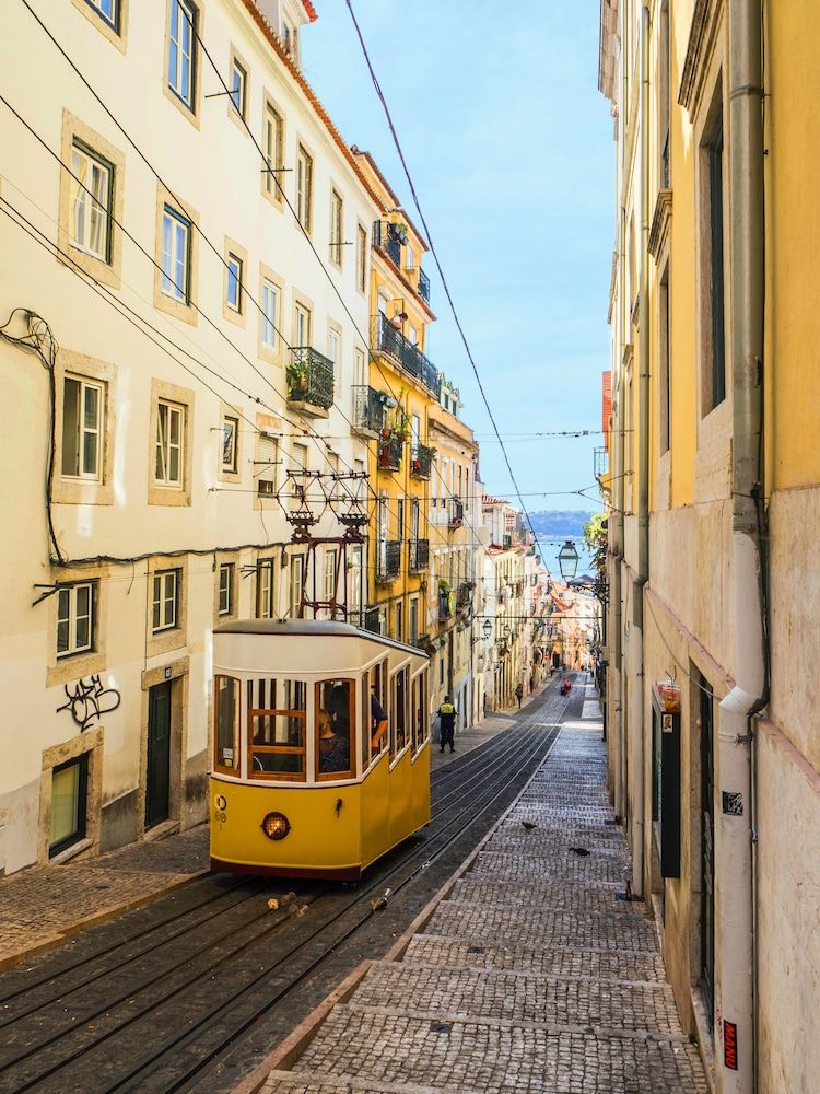 undefined Bica Lovely Tram 2