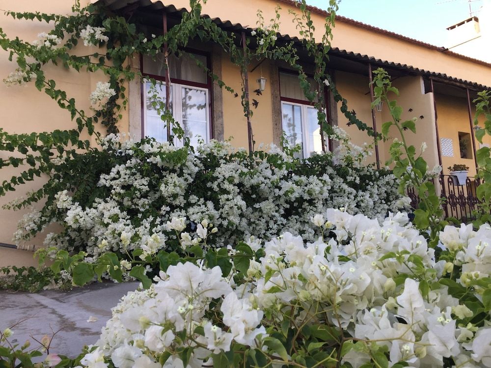 undefined Spirit of Time Spend time in Lisbon 4