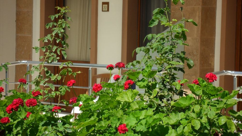 Ozukara 1 Apart Standard Room 13