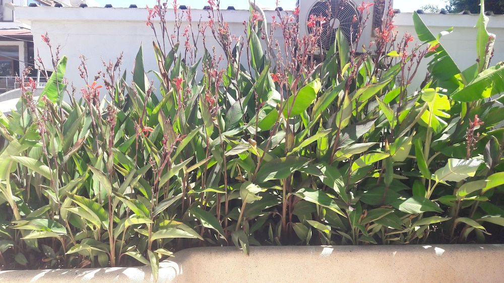 Ozukara 1 Apart Standard Room 15