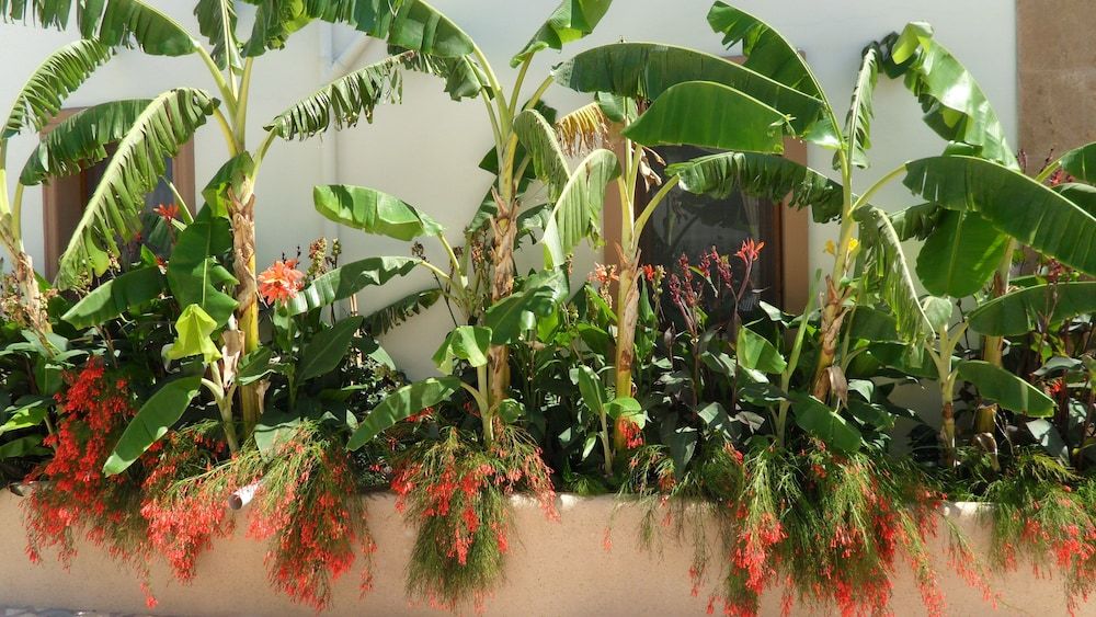 Ozukara 1 Apart Standard Room 14