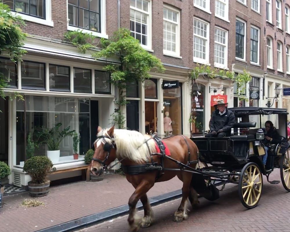 Amsterdam B&B Barangay Deluxe Double or Twin Room 14