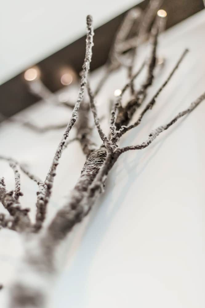 undefined Olarias Terrace Lisbon 4