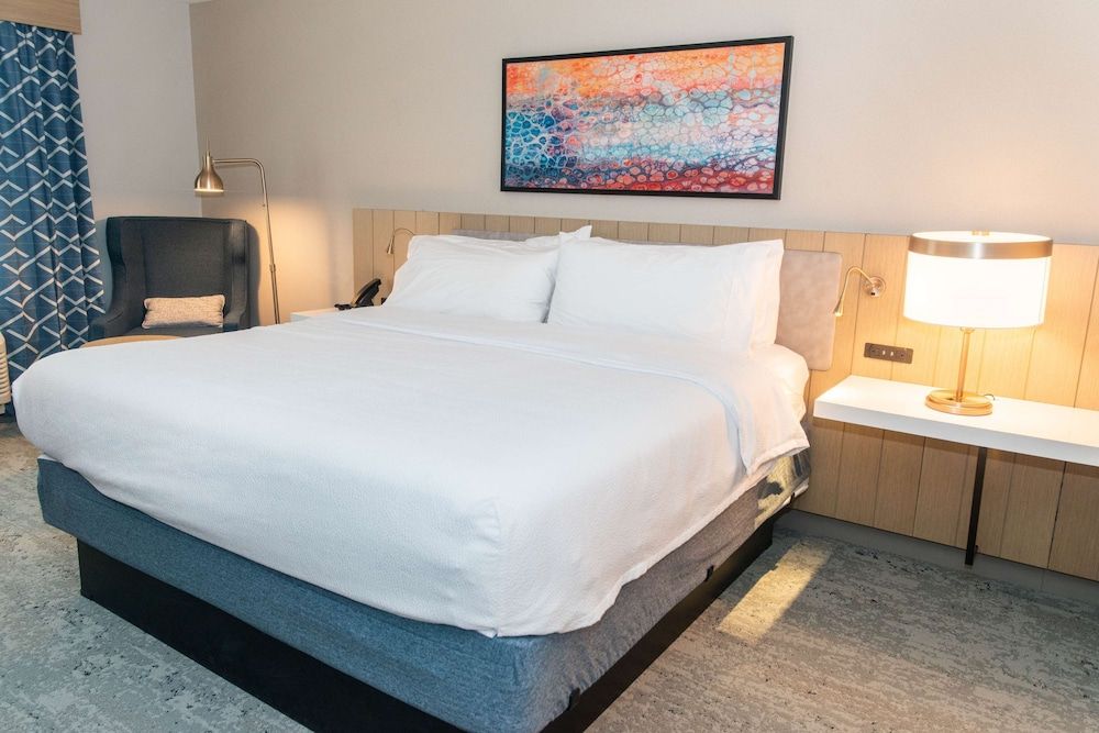 Room, 1 King Bed