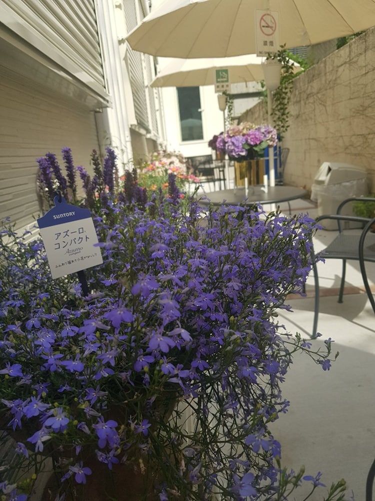 undefined Hotel Blue Empire in Shinjuku 5