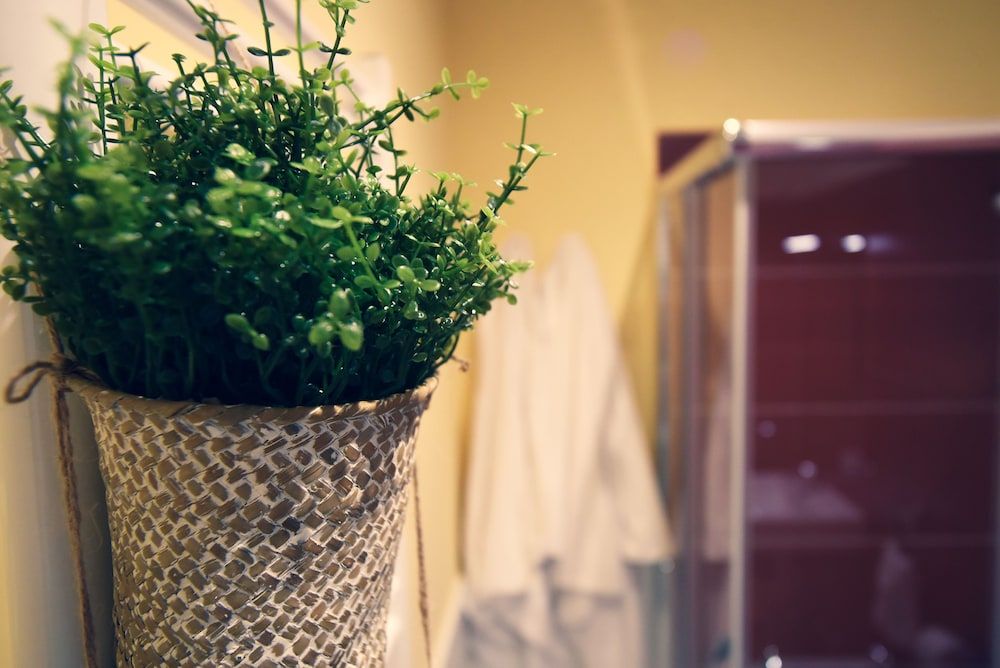 Kapsott B&B Deluxe Double Room 11