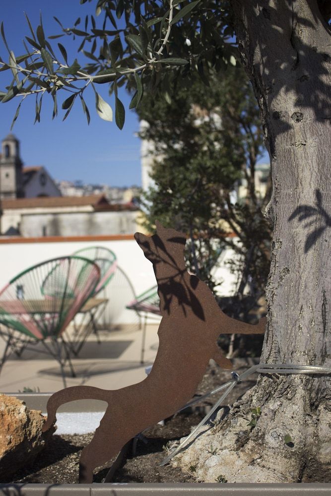 undefined Schiara guest house 6