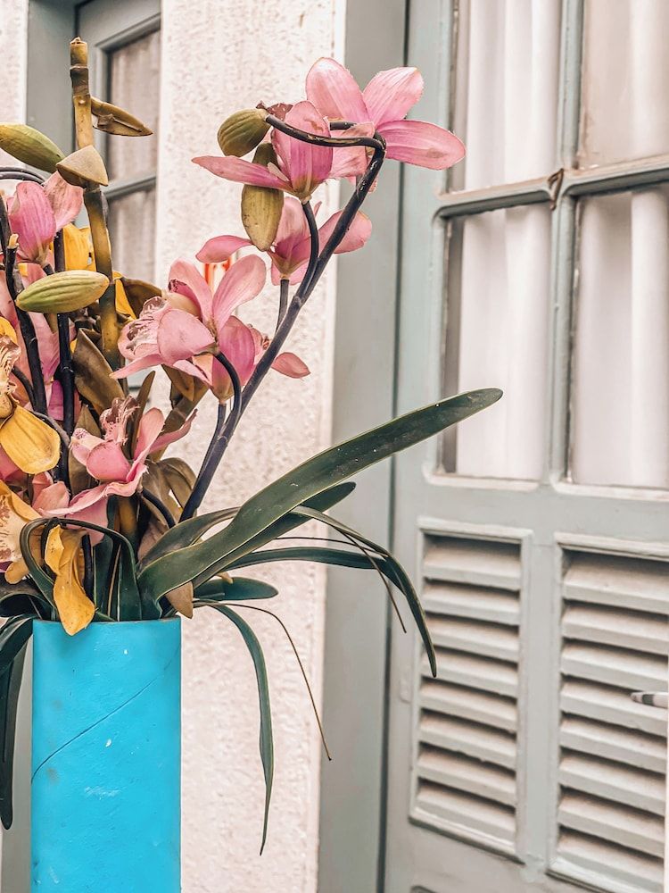 undefined Casa Tuxi 2