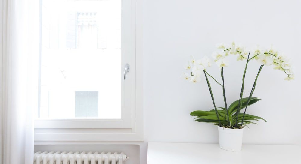 Bella Vita Charming House Apartment, 3 Bedrooms 35