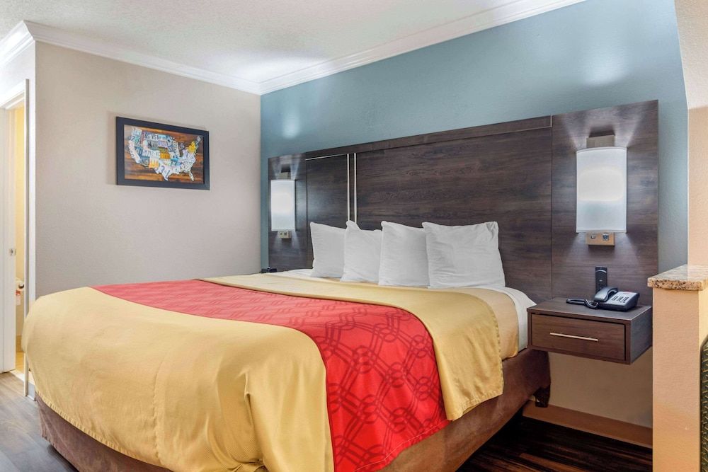 Econo Lodge Byron - Warner Robins Premium Suite, 1 King Bed with Sofa bed, Non Smoking 3