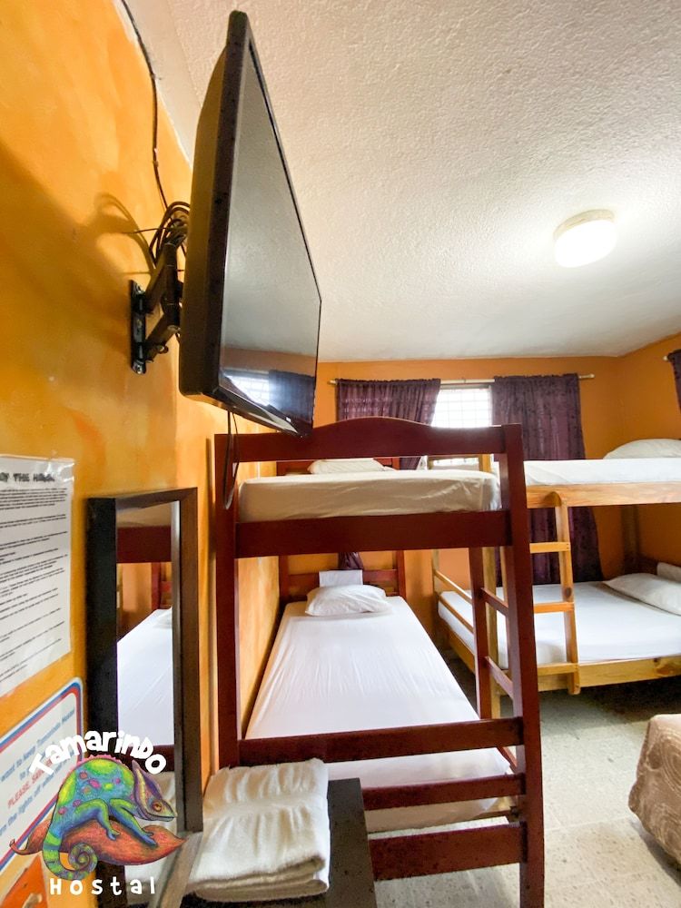 Tamarindo hostel Standard Room 3 3